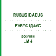 РУБУС ІДАУС (RUBUS IDAEUS) LM 4 розчин 10 мл - Гомеопатія ARCANA DR.SEWERIN