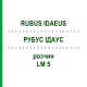 РУБУС ІДАУС (RUBUS IDAEUS) LM 5 розчин 10 мл - Гомеопатія ARCANA DR.SEWERIN