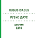 РУБУС ІДАУС (RUBUS IDAEUS) LM 6 розчин 10 мл - Гомеопатія ARCANA DR.SEWERIN