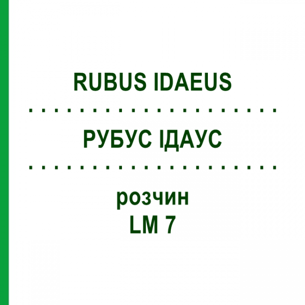 РУБУС ІДАУС (RUBUS IDAEUS) LM 7 розчин 10 мл - Гомеопатія ARCANA DR.SEWERIN