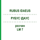 РУБУС ІДАУС (RUBUS IDAEUS) LM 7 розчин 10 мл - Гомеопатія ARCANA DR.SEWERIN