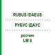 РУБУС ІДАУС (RUBUS IDAEUS) LM 8 розчин 10 мл - Гомеопатія ARCANA DR.SEWERIN