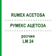 РУМЕКС АЦЕТОЗА (RUMEX ACETOSA) LM 24 розчин 10 мл - Гомеопатія ARCANA DR.SEWERIN