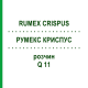 РУМЕКС КРИСПУС (RUMEX CRISPUS) Q 11 розчин 15 мл - Гомеопатія GUDJONS