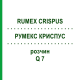 РУМЕКС КРИСПУС (RUMEX CRISPUS) Q 7 розчин 15 мл - Гомеопатія GUDJONS