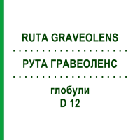 РУТА ГРАВЕОЛЕНС (RUTA GRAVEOLENS) D 12 глобули 10 г - Гомеопатия SPAGYRA