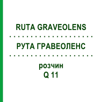 РУТА ГРАВЕОЛЕНС (RUTA GRAVEOLENS) Q 11 розчин 15 мл - Гомеопатія GUDJONS