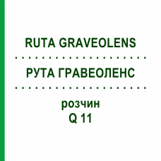 РУТА ГРАВЕОЛЕНС (RUTA GRAVEOLENS) Q 11 раствор 15 мл - Гомеопатия GUDJONS