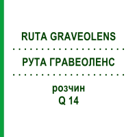 РУТА ГРАВЕОЛЕНС (RUTA GRAVEOLENS) Q 14 розчин 15 мл - Гомеопатія GUDJONS