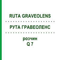 РУТА ГРАВЕОЛЕНС (RUTA GRAVEOLENS) Q 7 раствор 15 мл - Гомеопатия GUDJONS