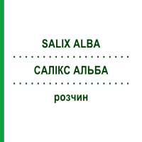 САЛІКС АЛЬБА (SALIX ALBA) розчин 20 мл - Гомеопатія DHU