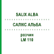 САЛИКС АЛЬБА (SALIX ALBA) LM 110 раствор 10 мл - Гомеопатия ARCANA DR.SEWERIN