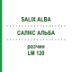 САЛИКС АЛЬБА (SALIX ALBA) LM 120 раствор 10 мл - Гомеопатия ARCANA DR.SEWERIN