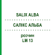 САЛИКС АЛЬБА (SALIX ALBA) LM 13 раствор 10 мл - Гомеопатия ARCANA DR.SEWERIN