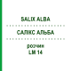 САЛИКС АЛЬБА (SALIX ALBA) LM 14 раствор 10 мл - Гомеопатия ARCANA DR.SEWERIN
