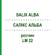 САЛИКС АЛЬБА (SALIX ALBA) LM 22 раствор 10 мл - Гомеопатия ARCANA DR.SEWERIN