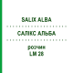 САЛИКС АЛЬБА (SALIX ALBA) LM 28 раствор 10 мл - Гомеопатия ARCANA DR.SEWERIN