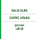 САЛИКС АЛЬБА (SALIX ALBA) LM 29 раствор 10 мл - Гомеопатия ARCANA DR.SEWERIN