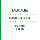 САЛИКС АЛЬБА (SALIX ALBA) LM 36 раствор 10 мл - Гомеопатия ARCANA DR.SEWERIN
