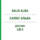 САЛИКС АЛЬБА (SALIX ALBA) LM 4 раствор 10 мл - Гомеопатия ARCANA DR.SEWERIN