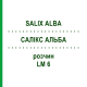 САЛИКС АЛЬБА (SALIX ALBA) LM 6 раствор 10 мл - Гомеопатия ARCANA DR.SEWERIN