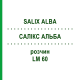 САЛИКС АЛЬБА (SALIX ALBA) LM 60 раствор 10 мл - Гомеопатия ARCANA DR.SEWERIN