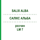 САЛИКС АЛЬБА (SALIX ALBA) LM 7 раствор 10 мл - Гомеопатия ARCANA DR.SEWERIN