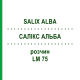 САЛИКС АЛЬБА (SALIX ALBA) LM 75 раствор 10 мл - Гомеопатия ARCANA DR.SEWERIN