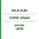 САЛИКС АЛЬБА (SALIX ALBA) LM 90 раствор 10 мл - Гомеопатия ARCANA DR.SEWERIN