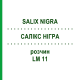 САЛИКС НИГРА (SALIX NIGRA) LM 11 раствор 10 мл - Гомеопатия ARCANA DR.SEWERIN