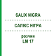 САЛИКС НИГРА (SALIX NIGRA) LM 17 раствор 10 мл - Гомеопатия ARCANA DR.SEWERIN