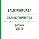 САЛИКС ПУРПУРЕА (SALIX PURPUREA) LM 10 раствор 10 мл - Гомеопатия ARCANA DR.SEWERIN