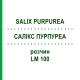 САЛИКС ПУРПУРЕА (SALIX PURPUREA) LM 100 раствор 10 мл - Гомеопатия ARCANA DR.SEWERIN