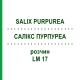 САЛИКС ПУРПУРЕА (SALIX PURPUREA) LM 17 раствор 10 мл - Гомеопатия ARCANA DR.SEWERIN