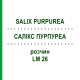 САЛИКС ПУРПУРЕА (SALIX PURPUREA) LM 26 раствор 10 мл - Гомеопатия ARCANA DR.SEWERIN