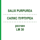 САЛИКС ПУРПУРЕА (SALIX PURPUREA) LM 30 раствор 10 мл - Гомеопатия ARCANA DR.SEWERIN