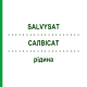 САЛВИСАТ (SALVYSAT) жидкость 5x100 мл - Листья шалфея JOHANNES BURGER YSATFABRIK