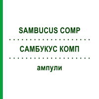 САМБУКУС КОМП (SAMBUCUS COMP) ампулы 50x1 мл - Гомеопатия WALA HEILMITTEL