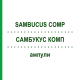 САМБУКУС КОМП (SAMBUCUS COMP) ампули 50x1 мл - Гомеопатія WALA HEILMITTEL