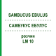 САМБУКУС ЭБУЛУС (SAMBUCUS EBULUS) LM 10 раствор 10 мл - Гомеопатия ARCANA DR.SEWERIN