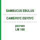 САМБУКУС ЭБУЛУС (SAMBUCUS EBULUS) LM 100 раствор 10 мл - Гомеопатия ARCANA DR.SEWERIN