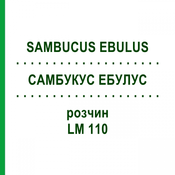 САМБУКУС ЭБУЛУС (SAMBUCUS EBULUS) LM 110 раствор 10 мл - Гомеопатия ARCANA DR.SEWERIN