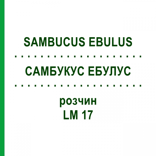 САМБУКУС ЭБУЛУС (SAMBUCUS EBULUS) LM 17 раствор 10 мл - Гомеопатия ARCANA DR.SEWERIN