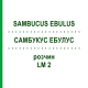 САМБУКУС ЭБУЛУС (SAMBUCUS EBULUS) LM 2 раствор 10 мл - Гомеопатия ARCANA DR.SEWERIN