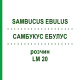 САМБУКУС ЭБУЛУС (SAMBUCUS EBULUS) LM 20 раствор 10 мл - Гомеопатия ARCANA DR.SEWERIN