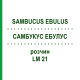 САМБУКУС ЭБУЛУС (SAMBUCUS EBULUS) LM 21 раствор 10 мл - Гомеопатия ARCANA DR.SEWERIN