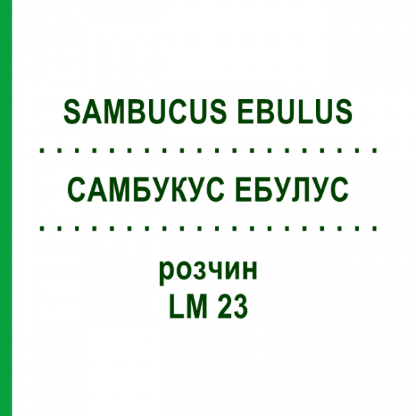 САМБУКУС ЭБУЛУС (SAMBUCUS EBULUS) LM 23 раствор 10 мл - Гомеопатия ARCANA DR.SEWERIN