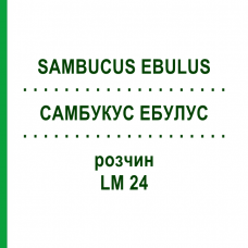 САМБУКУС ЭБУЛУС (SAMBUCUS EBULUS) LM 24 раствор 10 мл - Гомеопатия ARCANA DR.SEWERIN