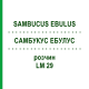 САМБУКУС ЭБУЛУС (SAMBUCUS EBULUS) LM 29 раствор 10 мл - Гомеопатия ARCANA DR.SEWERIN