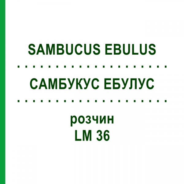 САМБУКУС ЭБУЛУС (SAMBUCUS EBULUS) LM 36 раствор 10 мл - Гомеопатия ARCANA DR.SEWERIN